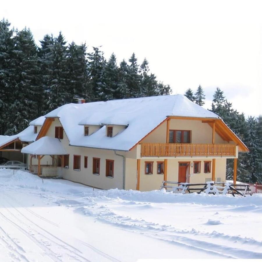 Penzion Patrik Mikulcin Vrch Vapenice Extérieur photo